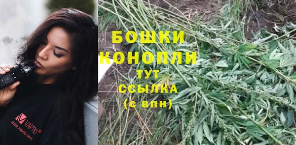 ПСИЛОЦИБИНОВЫЕ ГРИБЫ Тутаев