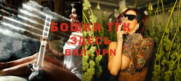 ПСИЛОЦИБИНОВЫЕ ГРИБЫ Тутаев
