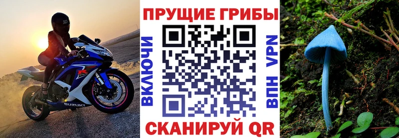 цены наркотик  Елизаветинская  Галлюциногенные грибы Psilocybine cubensis 